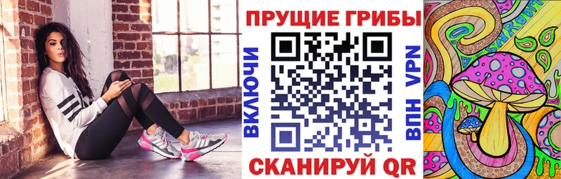 Псилоцибиновые грибы Cubensis  Сарапул 