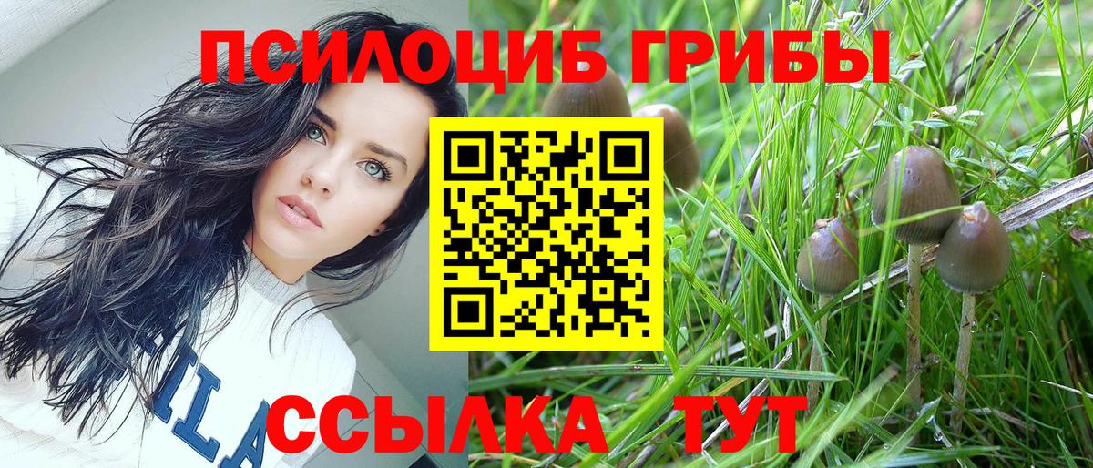 Псилоцибиновые грибы MAGIC MUSHROOMS Сарапул